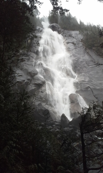 Photography of Nature Falls Near Forest Photography of Nature Falls Near Forest