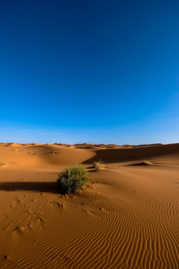 Photography of Sand Dunes Under Blue Sky Photography of Sand Dunes Under Blue Sky