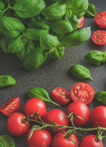 Photography of Tomatoes Near Basil Leaves Photography of Tomatoes Near Basil Leaves