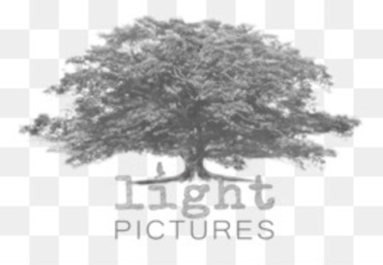 Photography Photographer Character Illustration - The photographer 