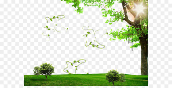 Photography - Spring poster background effect Photography - Spring poster background effect