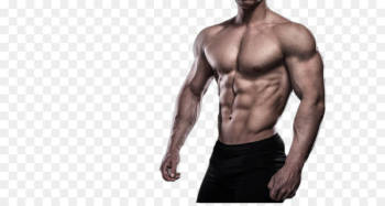 Physical fitness Bodybuilding Muscle Weight training - Men's Fitness side HD Photograph 