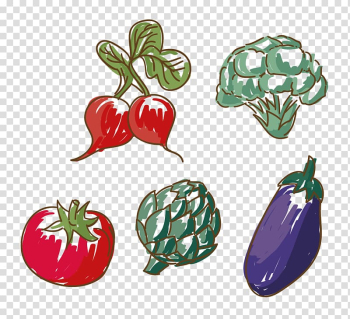 Pickled cucumber Radish Behavior-driven development pip Computer file, Vegetables material transparent background PNG clipart