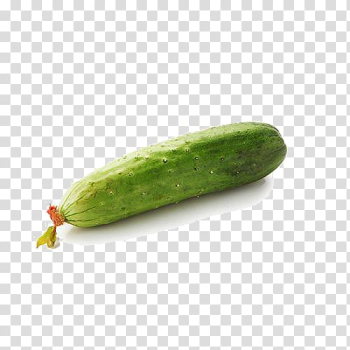 Pickled cucumber Vegetable, An autumn cucumber transparent background PNG clipart Pickled cucumber Vegetable, An autumn cucumber transparent background PNG clipart