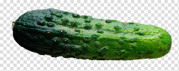Pickled cucumber Vegetable, cucumber transparent background PNG clipart Pickled cucumber Vegetable, cucumber transparent background PNG clipart