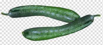 Pickled cucumber Vegetable, cucumber transparent background PNG clipart Pickled cucumber Vegetable, cucumber transparent background PNG clipart