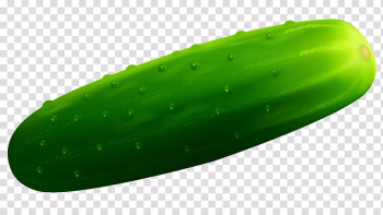 Pickled cucumber Vegetable Melon , cucumber transparent background PNG clipart Pickled cucumber Vegetable Melon , cucumber transparent background PNG clipart