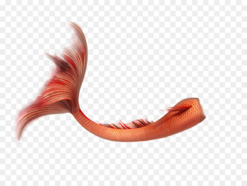 PicsArt Photo Studio Tail Mermaid Tutorial - mermaid tail PicsArt Photo Studio Tail Mermaid Tutorial - mermaid tail