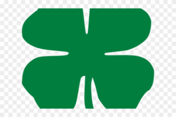 Picture 4 Leaf Clover - Picture 4 Leaf Clover Picture 4 Leaf Clover - Picture 4 Leaf Clover