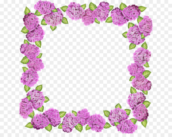 Picture frame Picture frame