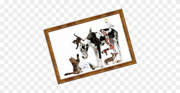 Picture Frame Picture Frame