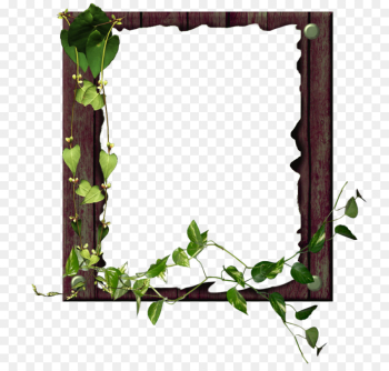 Picture Frames, Allah, Fasting In Islam, Green, Picture Frame PNG