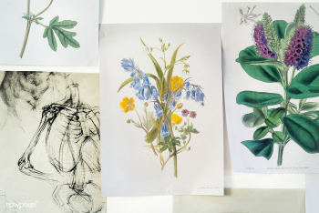 Picture frames at an art exhibition | Free stock photo - 259093 Picture frames at an art exhibition | Free stock photo - 259093