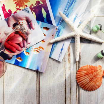 Pictures Starfish Seashells Images Memories Beach Concept Pictures Starfish Seashells Images Memories Beach Concept