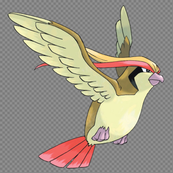Pidgeot | Nintendo | FANDOM powered by Wikia Pidgeot | Nintendo | FANDOM powered by Wikia