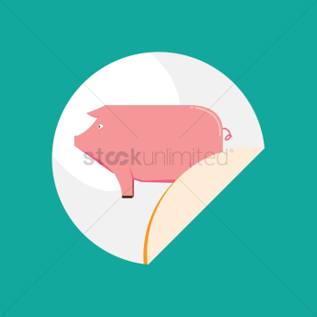 Pig Pig