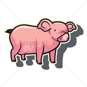 Pig Pig