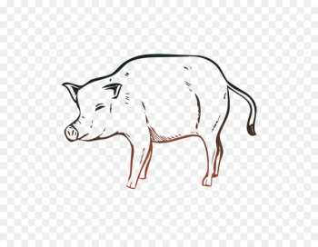 Pig Cattle Clip art Line art Cartoon - Pig Cattle Clip art Line art Cartoon -