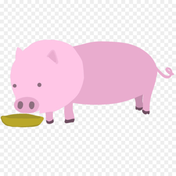 Pig, Domestic Pig, Pork, Pink PNG Pig, Domestic Pig, Pork, Pink PNG