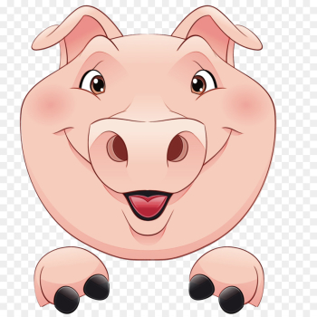 Pig, Domestic Pig, Porky Pig, Nose, Cartoon PNG Pig, Domestic Pig, Porky Pig, Nose, Cartoon PNG