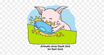 Pig Eating Food - Pig Eating Food