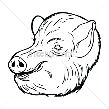 Pig face Pig face