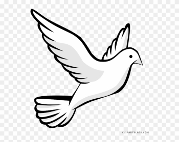 Pigeon Clipart Page 2 Of 4 Clipartblack Com Rh Clipartblack - Transparent Background Dove Clipart