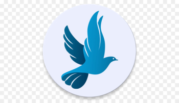 Pigeons and doves Racing Homer Logo Illustration Portable Network Graphics - bird 