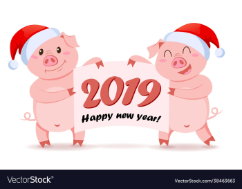 pigs in santa claus hat holding banner pigs in santa claus hat holding banner