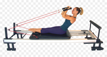 Pilates, Exercise, Physical Fitness, Exercise Equipment, Free Weight Bar PNG