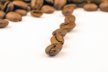 Pile of Coffee Bean Pile of Coffee Bean