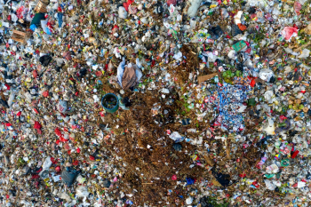 Pile of Garbage Pile of Garbage