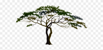 Pin African Tree Clipart - Savana Tree Png Pin African Tree Clipart - Savana Tree Png