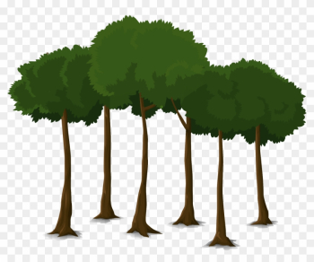 Pin Arbre Clipart - Canopy Trees Clipart