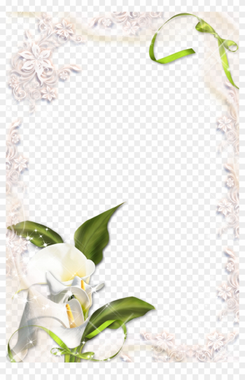Pin By Lorraine H On Calla Lily - Calla Lily Border Png Pin By Lorraine H On Calla Lily - Calla Lily Border Png