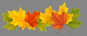 Pin by Юлия Рулькова on Осень | Fall clip art, Fall leaves png ...