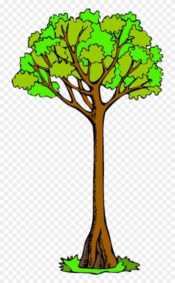 Pin Tree Clipart - Tall Tree Clip Art Pin Tree Clipart - Tall Tree Clip Art