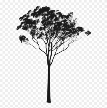 Pin Tree Silhouette Clip Art - Gum Tree Silhouette