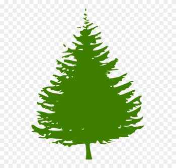 Pine Clipart Fir Tree - Fir Tree Clip Art Pine Clipart Fir Tree - Fir Tree Clip Art