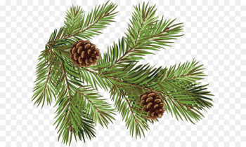 Pine Fir Conifer cone Spruce Branch - Hand-painted pine cones pattern 