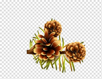 Pine nut Conifer cone, Hand painted pine cone transparent background PNG clipart Pine nut Conifer cone, Hand painted pine cone transparent background PNG clipart