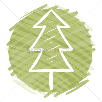 Pine tree