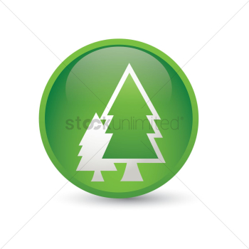 Pine tree