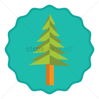 Pine tree