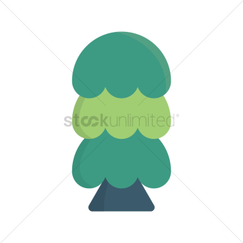 Pine tree