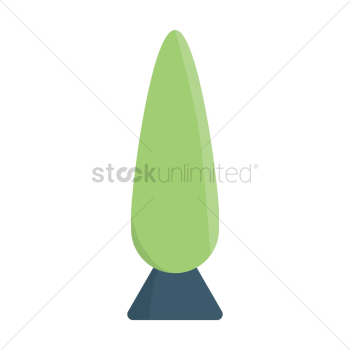 Pine tree