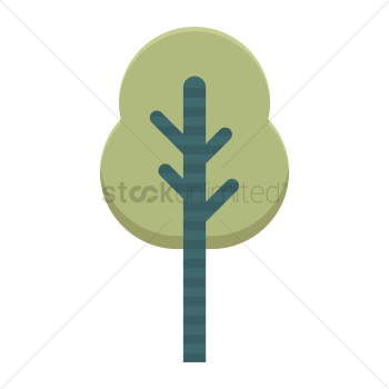Pine tree
