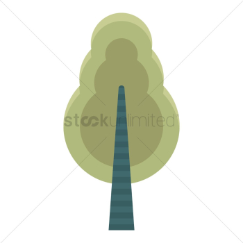 Pine tree