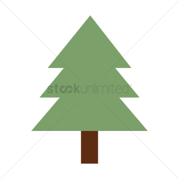 Pine tree