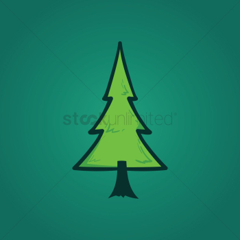 Pine tree